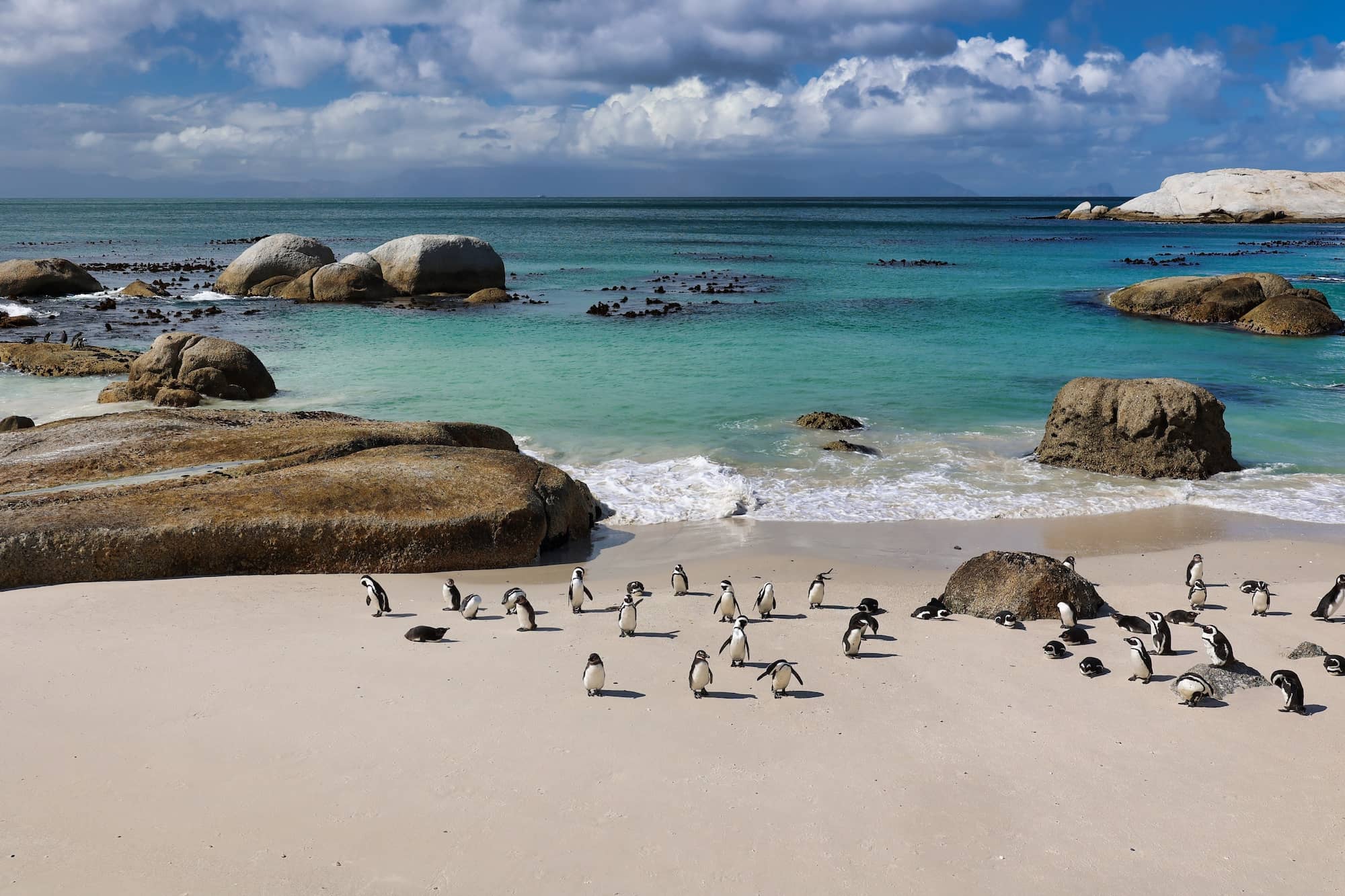 Professional Supervision, Coaching, & Consultation