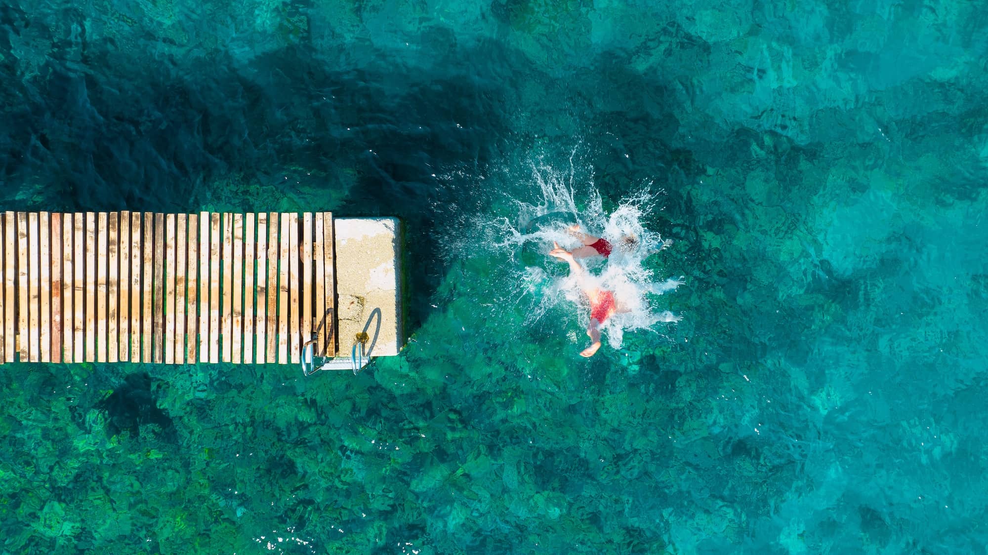 Authoring & Presentations